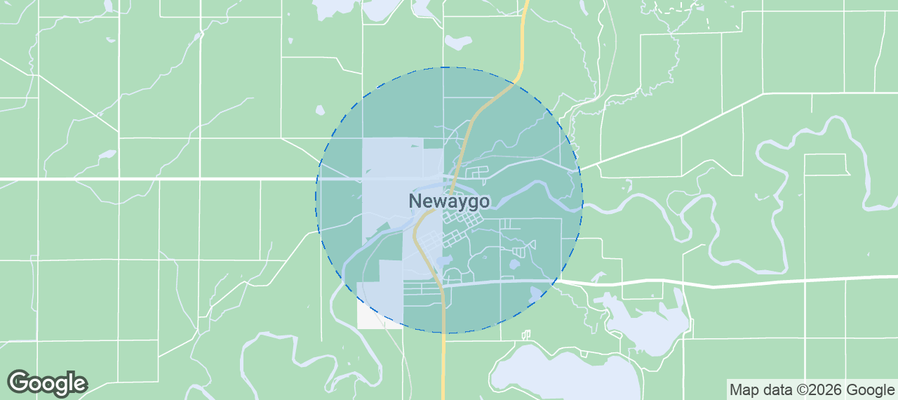 Newaygo Airbnb map